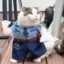 paw-lice officer icon