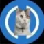 Ultra Sending Dollar Cat icon