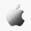 Apple icon