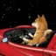 Dream Inu icon