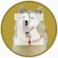 Kaia Coin icon