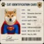 Know Your Super Inu icon