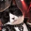 onigiri icon