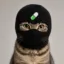Crime Cat icon