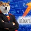 Stonks INUtelligence icon