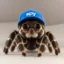 Spyder icon