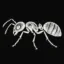 AntCoin icon