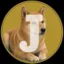 Johndogcoin icon