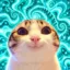 Hype Cat icon