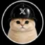 XCAT icon