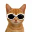 Clout icon