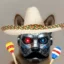 si icon