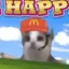 Happy cat icon