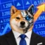 Agentic Inuvestor icon