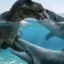 Goonisaurs icon