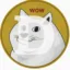 dogecoin icon