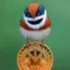 Titcoin icon