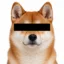 zINU icon