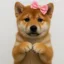 Emotional Inu icon