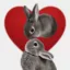 Love Bunnies icon