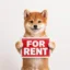 Rent Inu icon