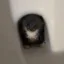 Skibidi Toilet Cat icon