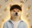 Kimchi Inu icon