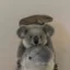NarwhalKoalaEel icon
