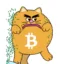Bitcoin Cat icon
