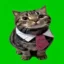 ser icon