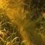 Grass icon