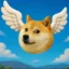 Dogewheel icon