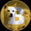 Baekgucoin icon
