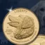 Dog Coin icon