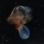SpaceX Jellyfish icon
