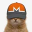 MONEKO icon