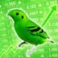 The Green Canary icon
