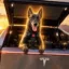 Tesla The Dog icon