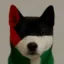 Palestinu icon