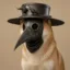 Plague Inu icon