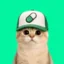 Normie icon