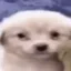 jetchua icon