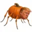 MAKE PUMPKINS GREAT AGAIN. icon