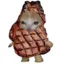 steakcat icon