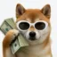 Maius Inu Limited icon