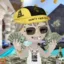 The New Celebrities icon