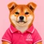 All Bets, No Brains icon