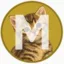 Misskacoin icon
