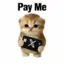 Pay Me icon