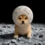 MOONER icon